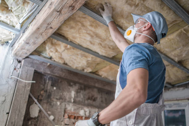 Best Types of Insulation in Galliano, LA